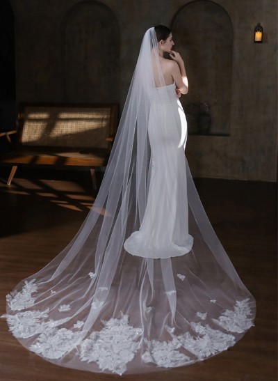 Lace Edge Single Tier Tulle Bridal Cathedral Length Wedding Veil