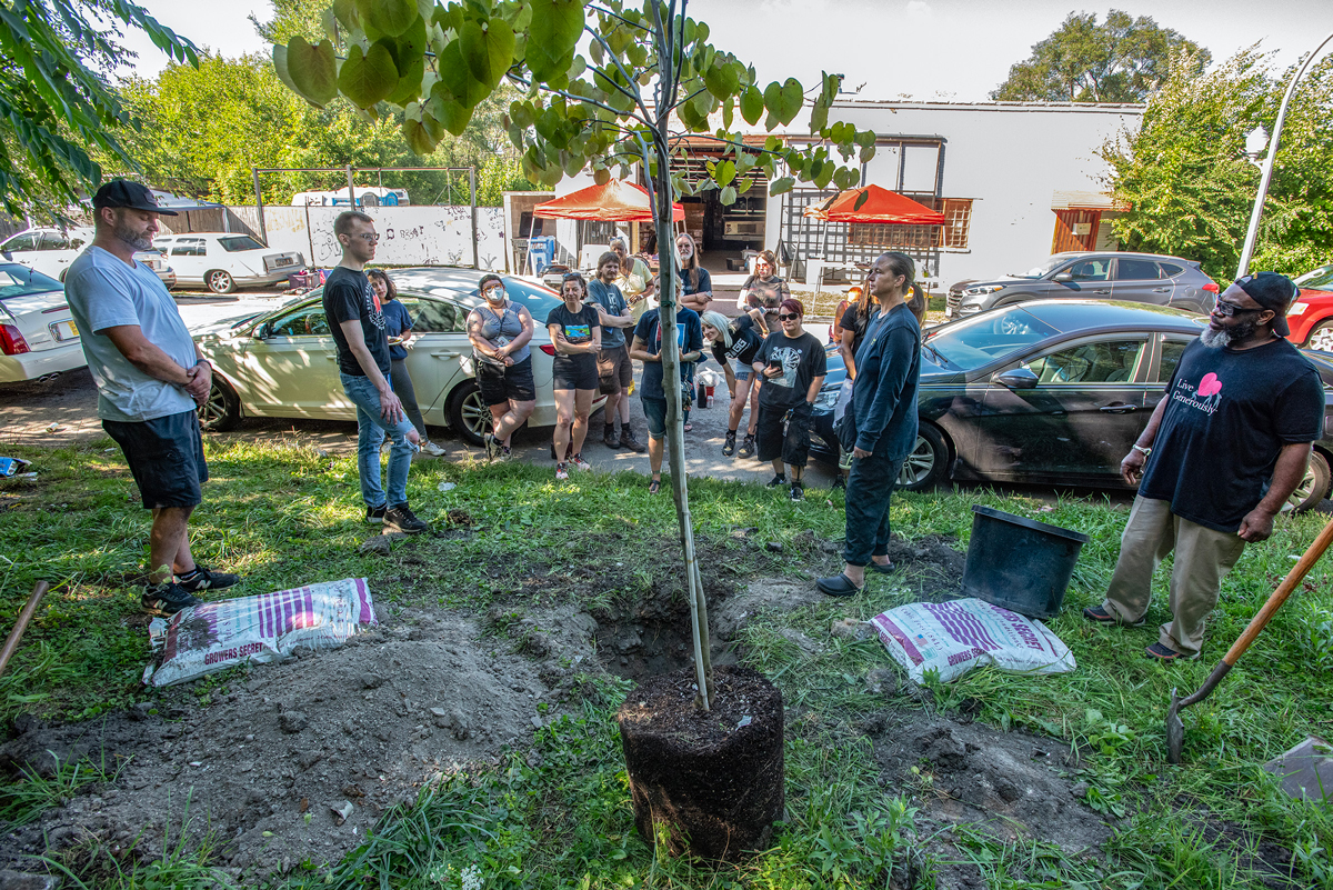 a small group of people stands around a new sapling being planted