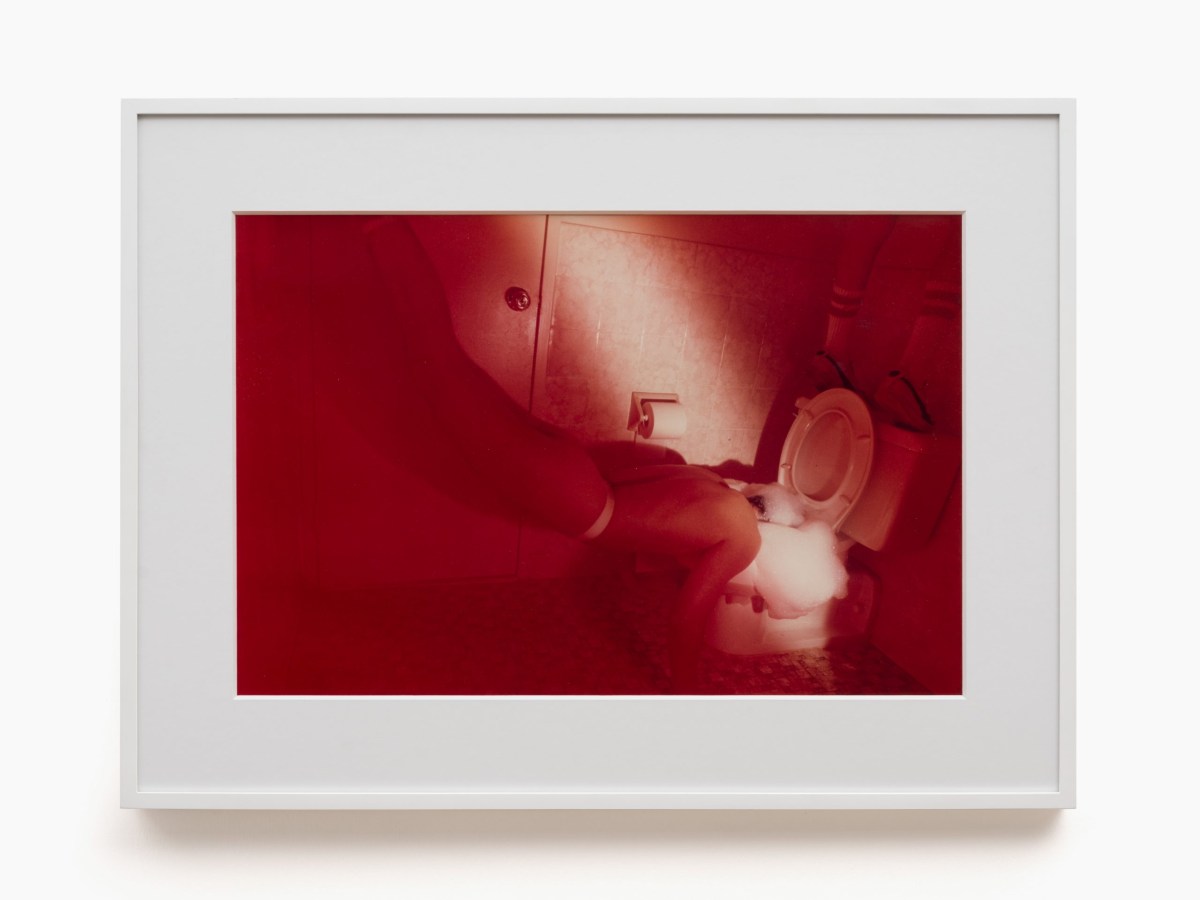 Pink-hued photo shows a nude figure with their face in a toilet and their legs suspended in the air behind them. The toilet is full of soap bubbles. Another person stands on top of the toilet back.