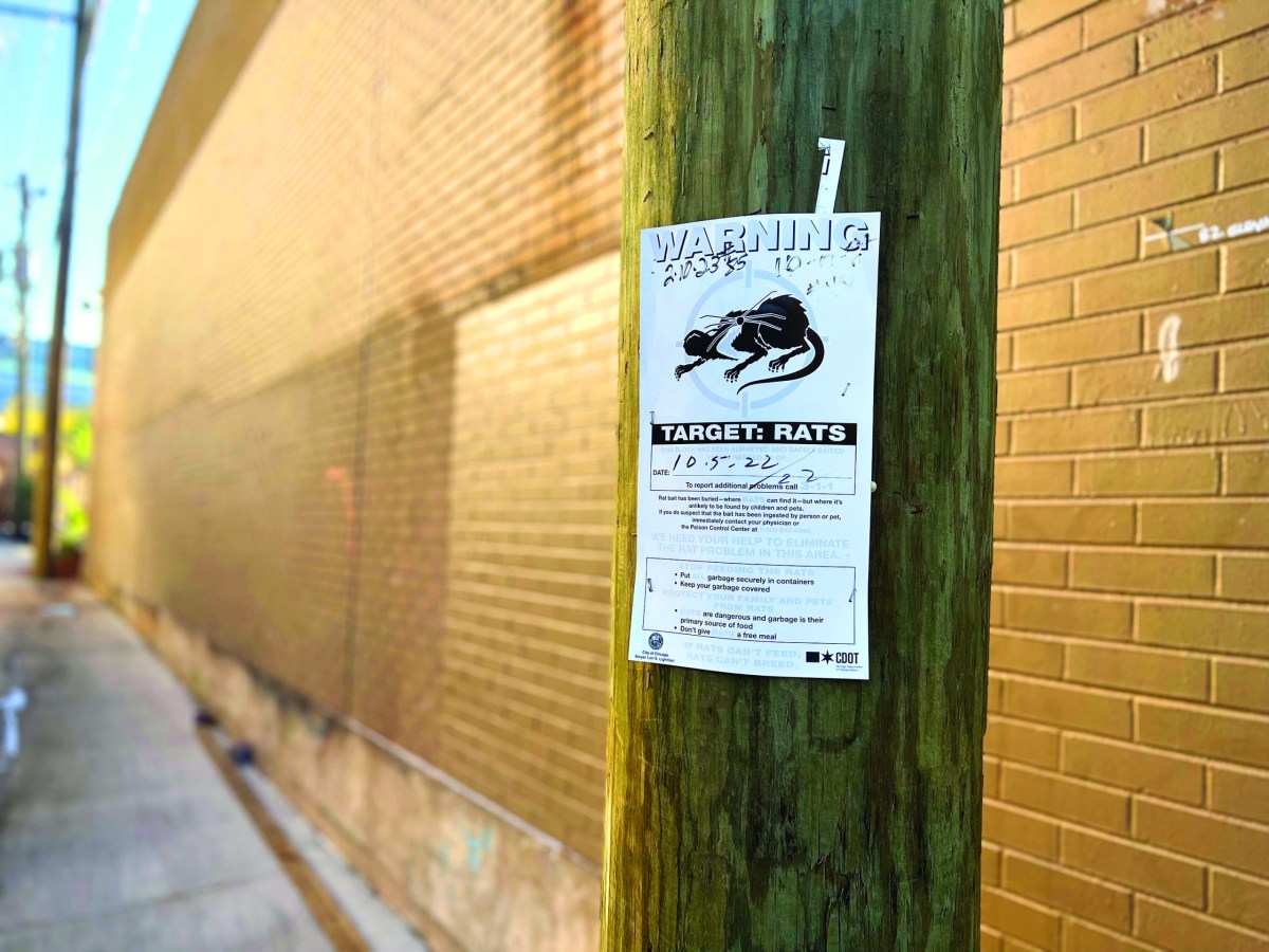 A rat abatement poster affixed to a pole in a Chicago alley